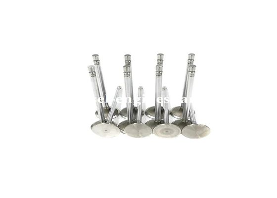 Td100 D12a Intake Exhaust Valves Quick ISO CertifiCatere For VOLV