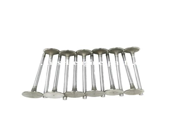 Td100 D12a Intake Exhaust Valves Quick ISO CertifiCatere For VOLV