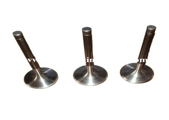 20Cr Cylinder Exhaust Valve Engineering Deutz FL912 Diesel Engine Parts